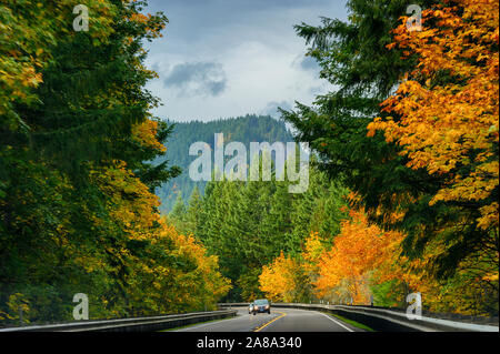 Herbstliche Farben auf dem Oregon Highway 58 in der Cascade Mountains, aus einem fahrenden Auto gesehen. Stockfoto