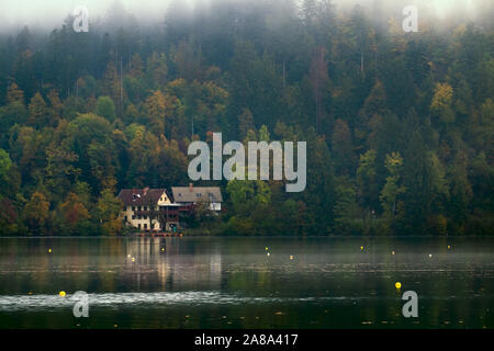 Frühe nebligen Morgen auf den Bleder See im Herbst, Slowenien Stockfoto