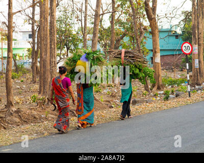 Indischer womans, Brennholz, Viehfutter auf der Kaladhungi-Nainital Straße, Kaladhungi, Uttarakhand, Indien Stockfoto