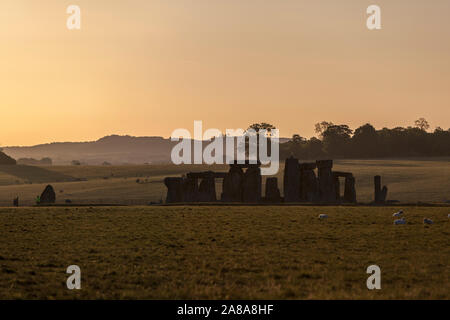 Rinder Schafe in Stonehenge bei Sonnenuntergang, einen Ring von stehenden Steinen, prähistorische Monument, Wiltshire, England, Großbritannien Stockfoto