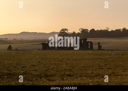 Rinder Schafe in Stonehenge bei Sonnenuntergang, einen Ring von stehenden Steinen, prähistorische Monument, Wiltshire, England, Großbritannien Stockfoto