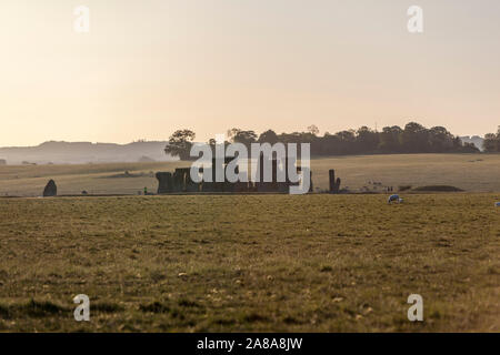 Rinder Schafe in Stonehenge bei Sonnenuntergang, einen Ring von stehenden Steinen, prähistorische Monument, Wiltshire, England, Großbritannien Stockfoto