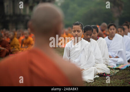 Eine große Gruppe von buddhistischen Mönchen und Nonnen während der Feier der Visak Bochea am Tempel Angkor Wat, Siem Reap, Kambodscha. Stockfoto