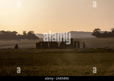 Rinder Schafe in Stonehenge bei Sonnenuntergang, einen Ring von stehenden Steinen, prähistorische Monument, Wiltshire, England, Großbritannien Stockfoto