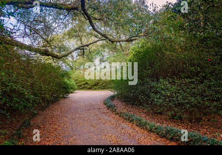 Ein gewundener Pfad führt durch Bellingrath Gardens, 24. Februar 2018, in Theodore, Alabama. Die 65 Hektar großen Gartenlandschaft eröffnet im Jahr 1932. Stockfoto