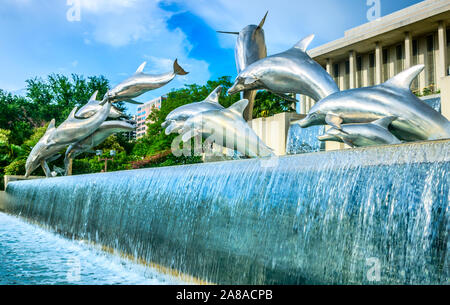 Delphine in der Waller Park Florida Erbe Brunnen an der Florida State Capitol, 20. Juli 2013 in Tallahassee, Florida tummeln. Stockfoto