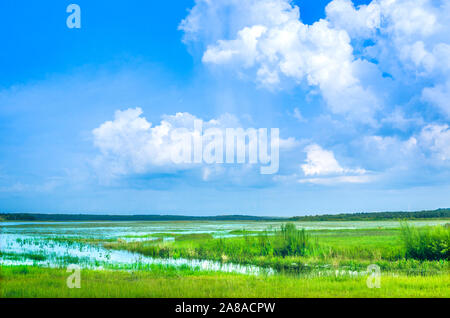 Wolken über den Feuchtgebieten bei Sonnenuntergang Landung, 21. Juli 2013 in Tallahassee, Florida. Stockfoto