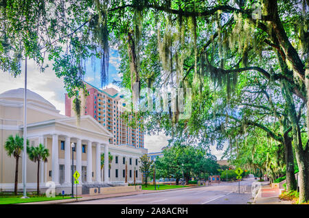 Der Florida Supreme Court wird dargestellt, 20. Juli 2013 in Tallahassee, Florida. Stockfoto