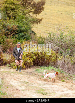 Der Franzose auf die Jagd mit einer Schrotflinte und seine Waffe Hund in die französische Landschaft in der Region Languedoc in Frankreich im Herbst Stockfoto