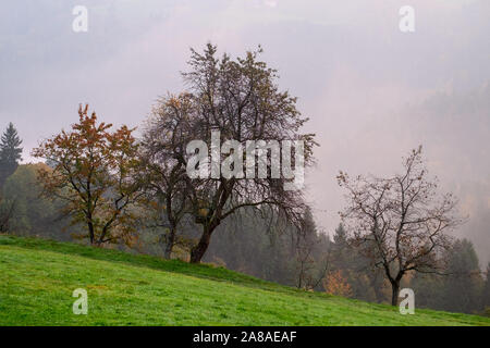 Herbst Landschaft in Julia Alpen Berg in Slowenien Stockfoto