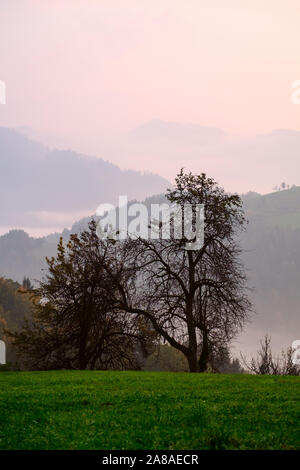 Herbst Landschaft in Julia Alpen Berg in Slowenien Stockfoto