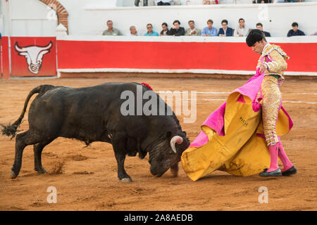 Mexikanische Matador Arturo Macias stellt seine Kap zu den Stier wie bei einem Stierkampf im Plaza de Toros in San Miguel de Allende, Mexiko. Stockfoto