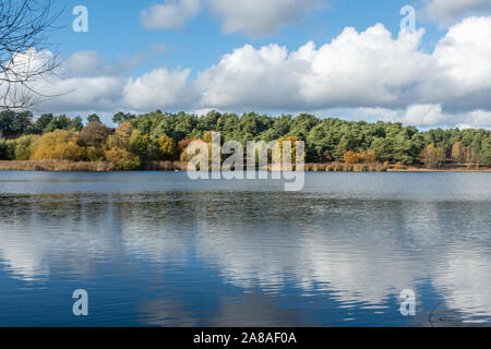 Blick auf Litlte Frensham Pond mit Herbstfarben, Surrey, Großbritannien Stockfoto