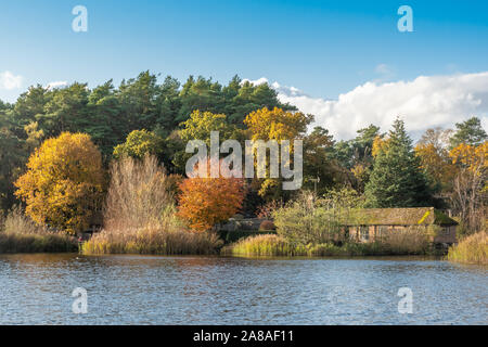 Blick auf Litlte Frensham Pond mit Herbstfarben, Surrey, Großbritannien Stockfoto