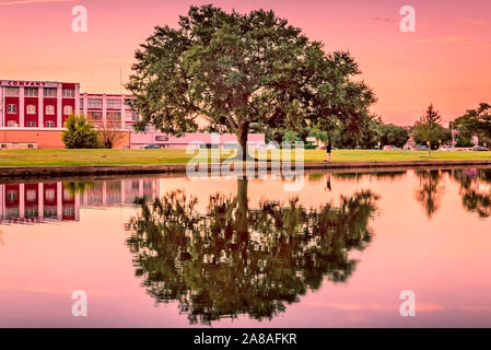 Die Sonne über Bayou St. John, 12. November 2015 in New Orleans, Louisiana. Stockfoto