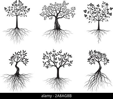 Satz von Grün Isoliert Bäume auf weißem Hintergrund. Vector Illustration und concept Piktogramm. Pflanze im Garten. Stock Vektor
