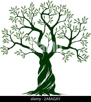 Grün Isoliert Olivenbaum auf weißem Hintergrund. Vector Illustration und Konzept. Pflanze im Garten. Stock Vektor