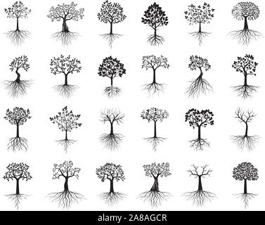 Große schwarze Isoliert schöne Bäume mit Wurzeln auf weißem Hintergrund. Vector Illustration und concept Piktogramm. Pflanze im Garten. Stock Vektor
