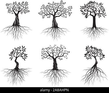 Satz von Schwarz isoliert Olivenbäume mit Wurzeln auf weißem Hintergrund. Vector Illustration und concept Piktogramm. Pflanze im Garten. Stock Vektor