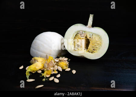 Aussaat einen weißen Kürbis eine Torte zu machen Stockfoto