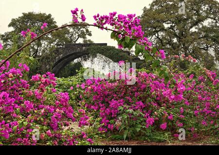 Fuli Brücke, orientalische gewölbten Steinbrücke in Guangxi, China Stockfoto