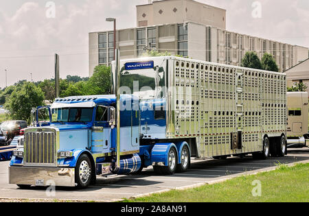 Ein 2005 Peterbilt 359 mit einem Wilson trailer 2015 wartet auf der 34. jährlichen Shell Rotella SuperRigs in Joplin, Missouri beurteilt werden. Stockfoto