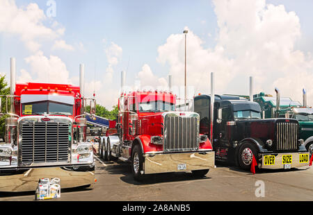 Ein Trio von peterbilt Trucks wartet auf der 34. jährlichen Shell Rotella SuperRigs Lkw beauty contest beurteilt werden, 11. Juni 2016, in Joplin, Missouri. Stockfoto