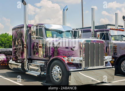 Ein 2015 Peterbilt 379 wartet auf der 34. jährlichen Shell Rotella SuperRigs Lkw beauty contest beurteilt werden, 11. Juni 2016, in Joplin, Missouri. Stockfoto