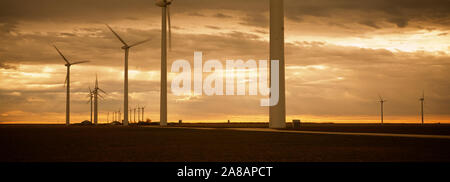 Windenergieanlagen in einem Feld, Amarillo, Texas, USA Stockfoto