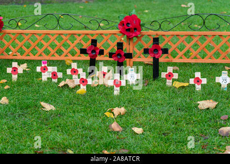 Tag der Erinnerung Mohnblumen am Kreuze in einen Garten mit den Namen der Kriegstoten auf ihnen Stockfoto