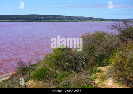 Tagesansicht des Rosa See in der Nähe von Port Gregory an der Coral Coast in Westaustralien Stockfoto