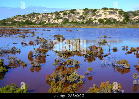 Tagesansicht des Rosa See in der Nähe von Port Gregory an der Coral Coast in Westaustralien Stockfoto