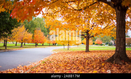 Herbst Farben um Carolinas Stockfoto