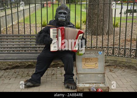 CHRISTCHURCH, NEUSEELAND, Oktober 12, 2019: ein Mann in einem Gorilla Anzug gekleidet nutzt seine Straßenmusik Fähigkeiten außerhalb von Christchurch Museum Stockfoto