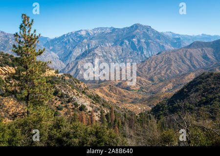 Giant Sequoia National Monument, Eastren zentralen Kalifornien Stockfoto