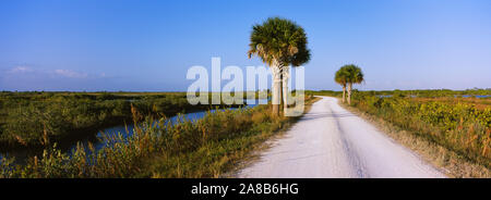 Dirt Road, die durch eine Landschaft, Schwarzpunkt Wildlife Drive, Merritt Island National Wildlife Refuge, Titusville, Florida, USA Stockfoto