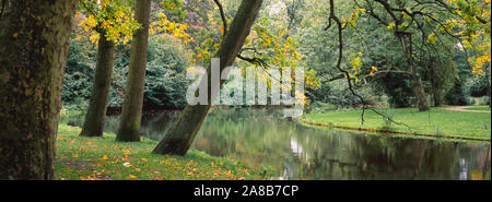 Bäume in der Nähe von einem Teich in einem Park, Vondelpark, Amsterdam, Niederlande Stockfoto