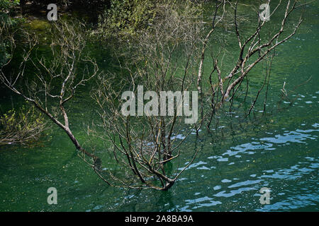 Treska Fluss überqueren der Matka Canyon, Mazedonien Stockfoto