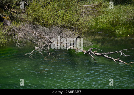 Treska Fluss überqueren der Matka Canyon, Mazedonien Stockfoto