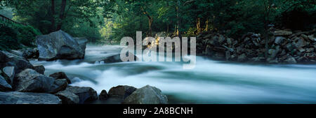 Fluss, der durch einen Wald, Nantahala fällt, Nantahala National Forest, North Carolina, USA Stockfoto