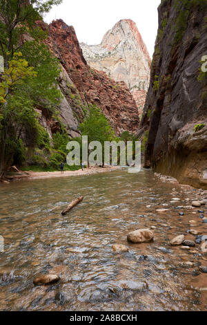 Eingang zu den Narrows, Zion National Park, Utah Stockfoto