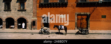 Pferd steht zwischen zwei Motorräder auf der Straße geparkt, San Miguel De Allende, Guanajuato, Mexiko Stockfoto