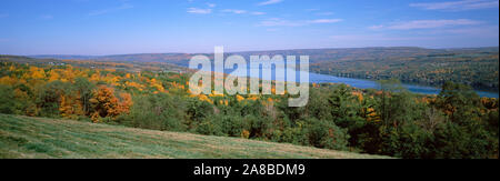 Wald am See, Keuka Lake, Finger Lakes, New York State, USA Stockfoto
