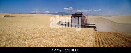 Mähdrescher ernten in einem Gerstenfeld, Palouse, Spokane County, Washington State, USA Stockfoto