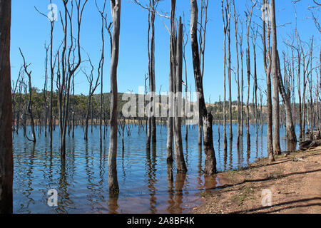 Malerische Landschaft mit Bäumen in der Nähe der rauhen Bush track am Rand des Nationalpark angrenzenden Harvey Dam Western Australia an einem heißen sonnigen Tag wächst. Stockfoto