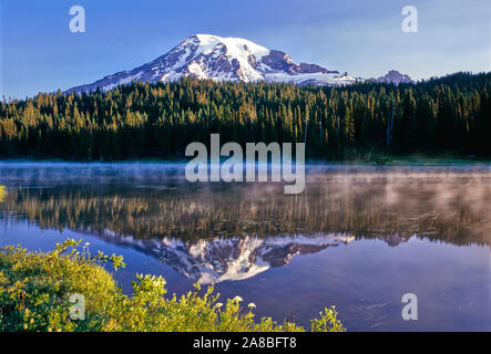 Mt Rainier reflektiert in Reflexion See, Mt Rainier National Park, Washington State, USA Stockfoto