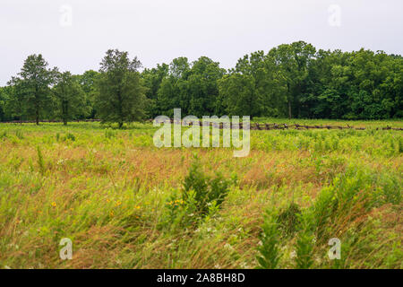 Wilson's Creek National Battlefield, in den Ozarks, Missouri Stockfoto