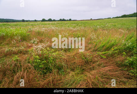 Wilson's Creek National Battlefield, in den Ozarks, Missouri Stockfoto