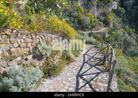 Taormina - der Weg zu den Frühling mediterranen Blumen. Stockfoto