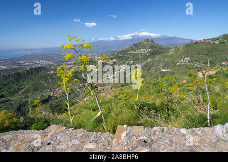 Taormina - der Weg zu den Frühling mediterranen Blumen und der Mt. Vulkan Ätna. Stockfoto